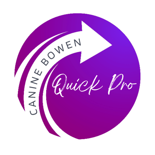 Quick Pro logo